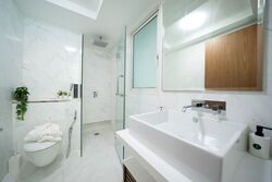 Suites At Orchard (D9), Apartment #485475781